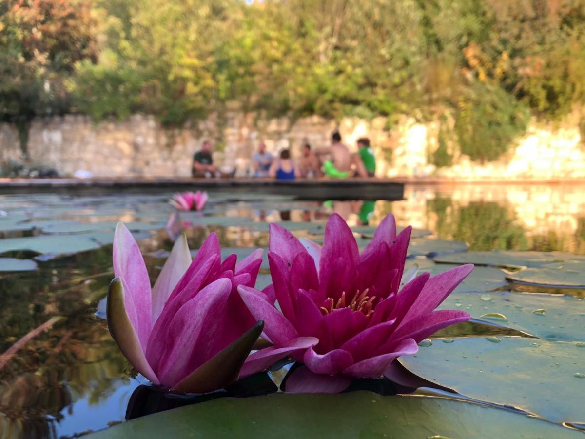 Gite Les Cabanes De Fallot Pour 15 Personnes - Piscine Naturelle L'isle-Bouzon Kültér fotó
